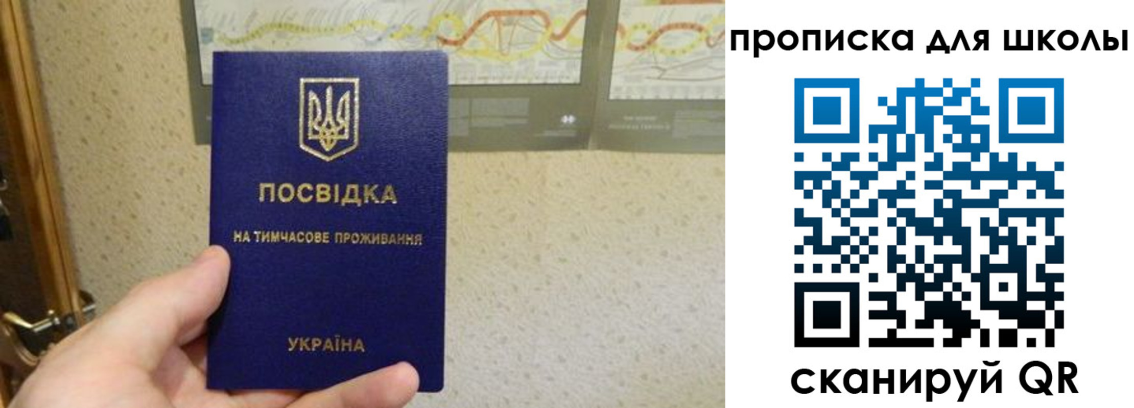 найти адрес прописки в Мурино